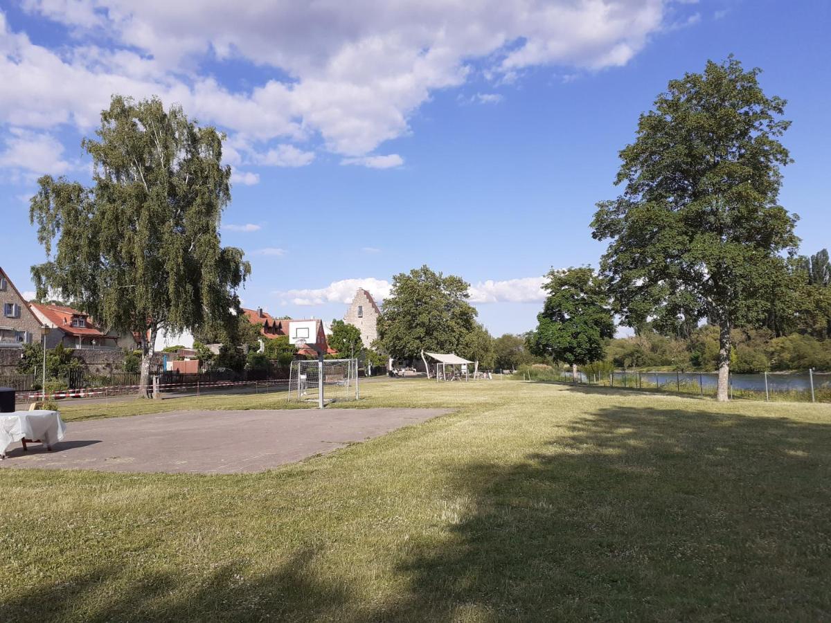 Main Idyll Leilighet Frickenhausen am Main Eksteriør bilde