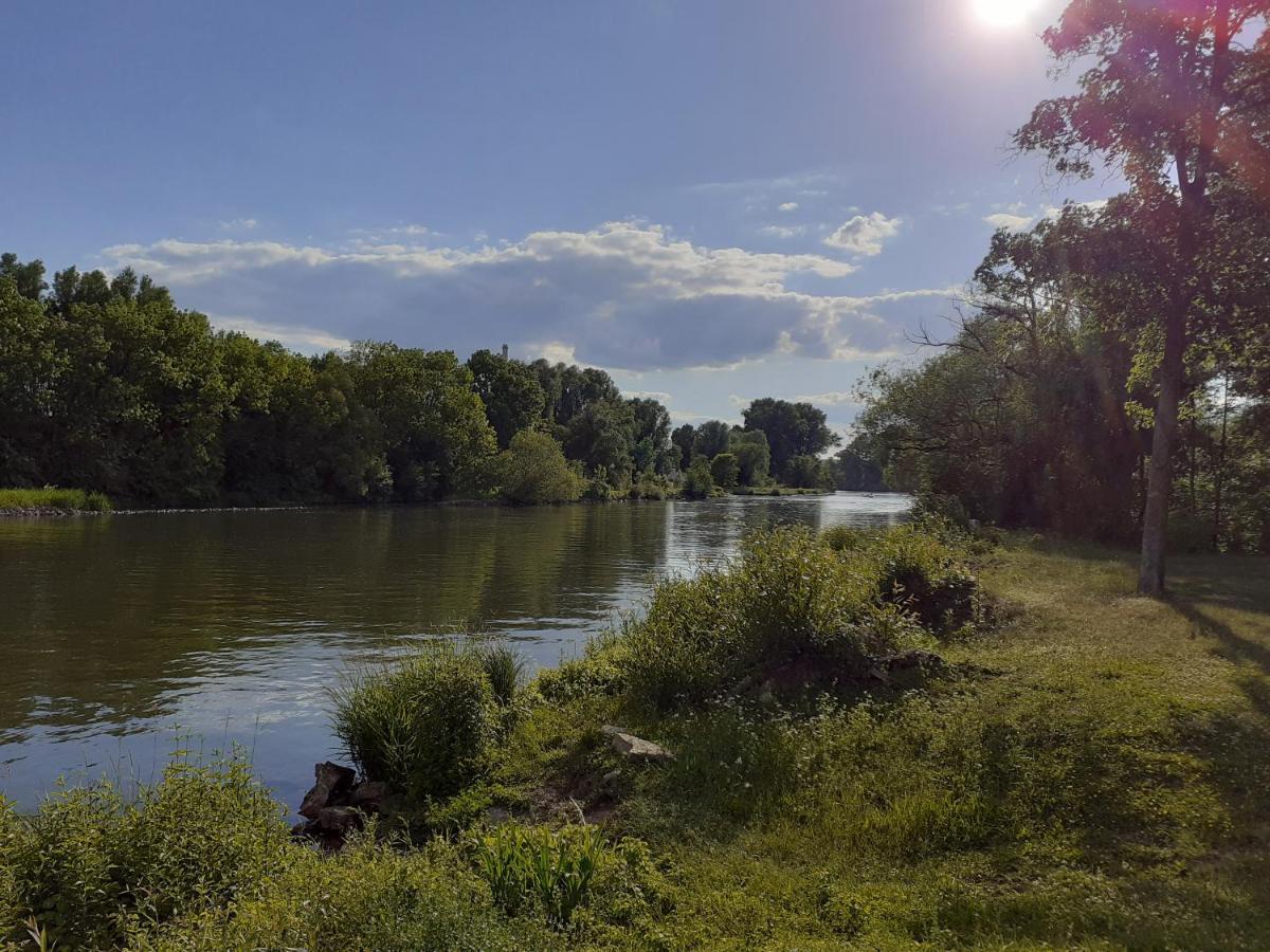 Main Idyll Leilighet Frickenhausen am Main Eksteriør bilde